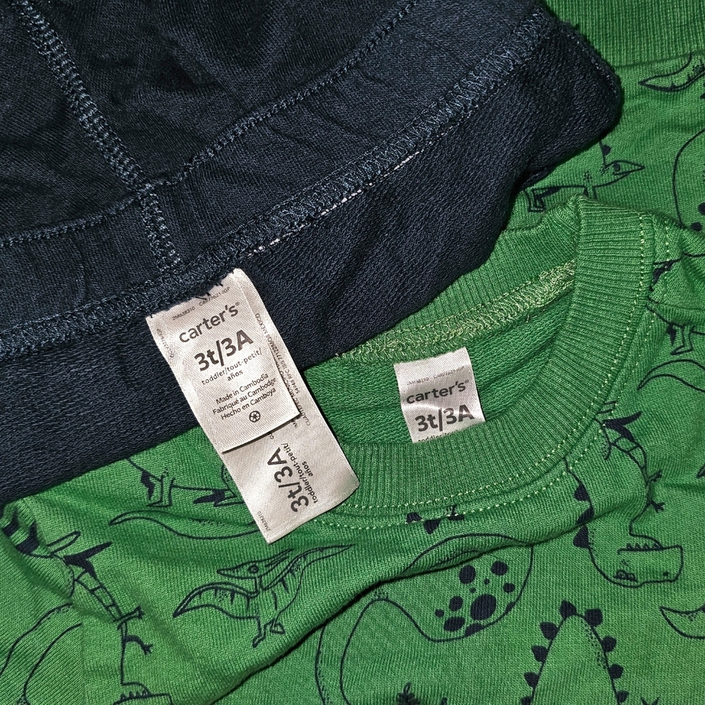 Cater's 3T Toddler Dinosaur Sweatshirt & Jogger Set - Picture 4 of 4